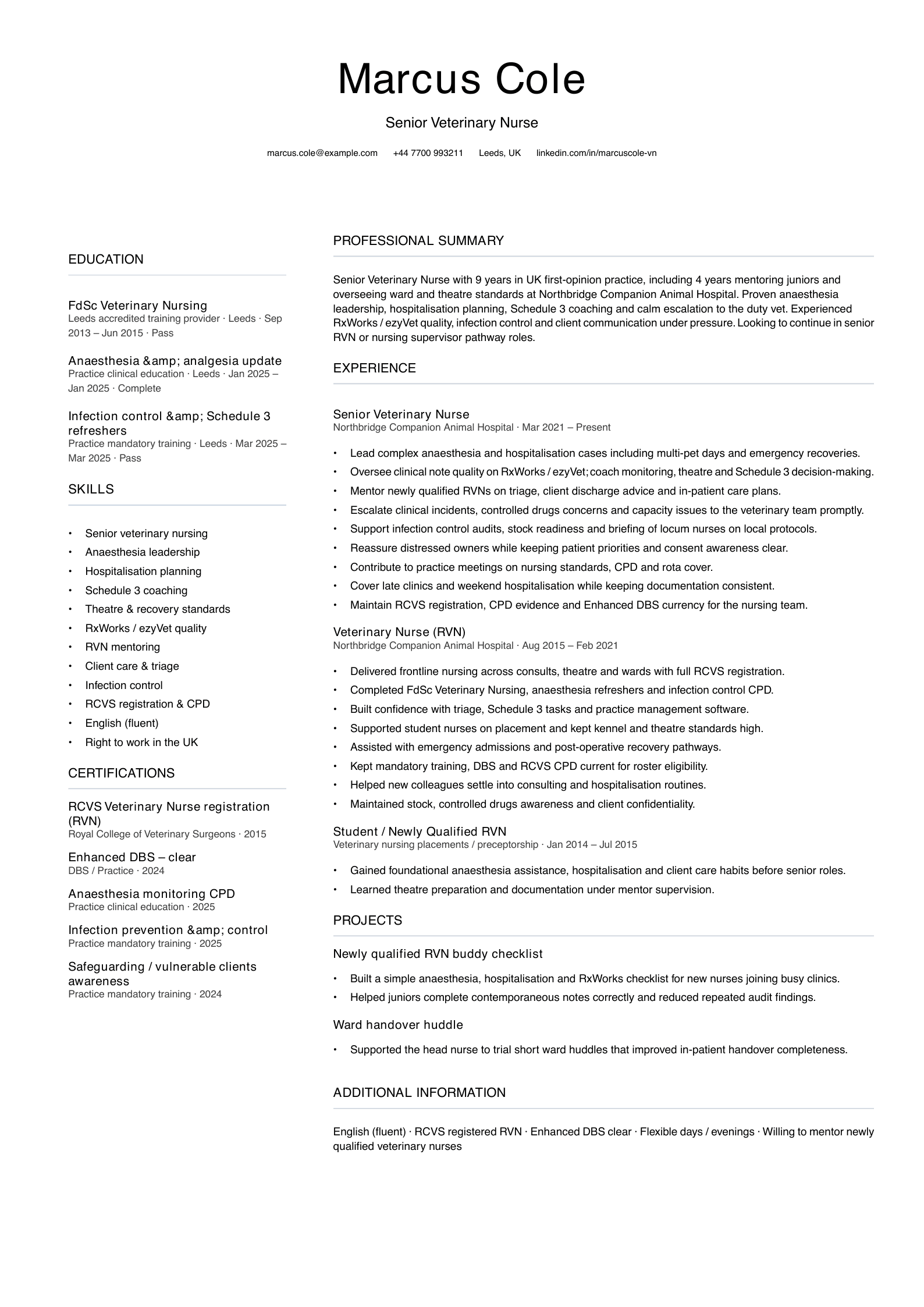 senior veterinary nurse cv template