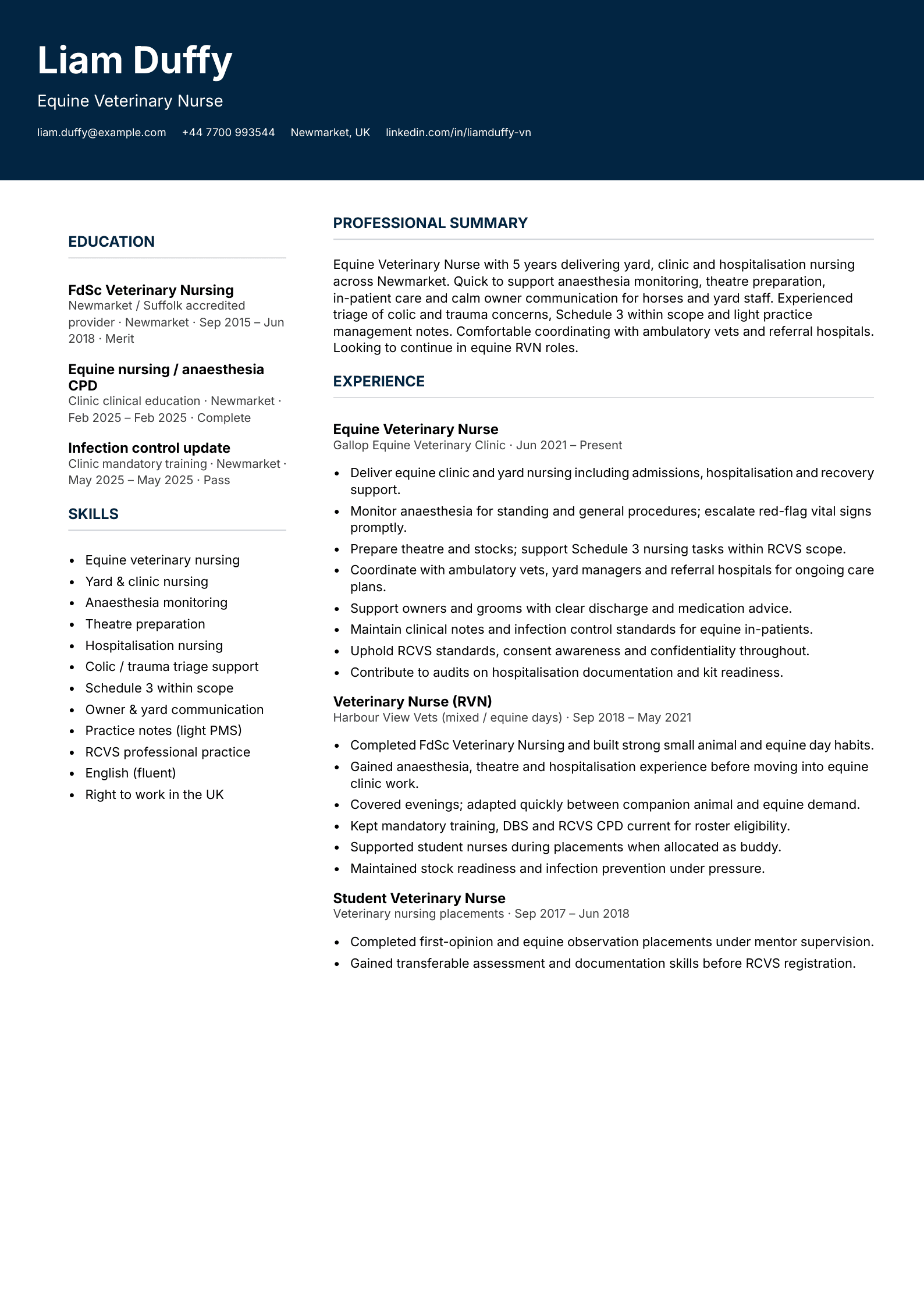 equine veterinary nurse cv template