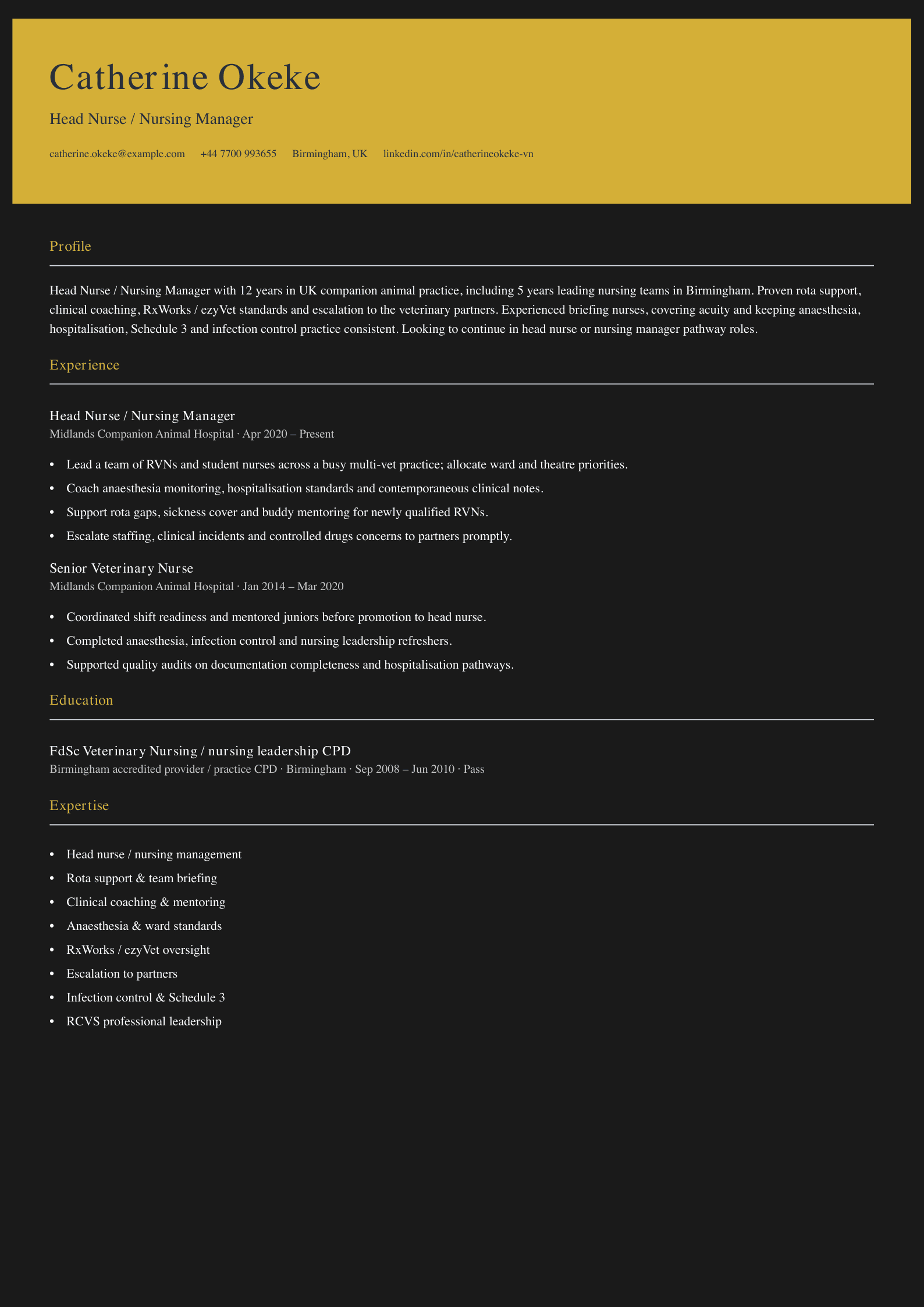 head nurse nursing manager cv template