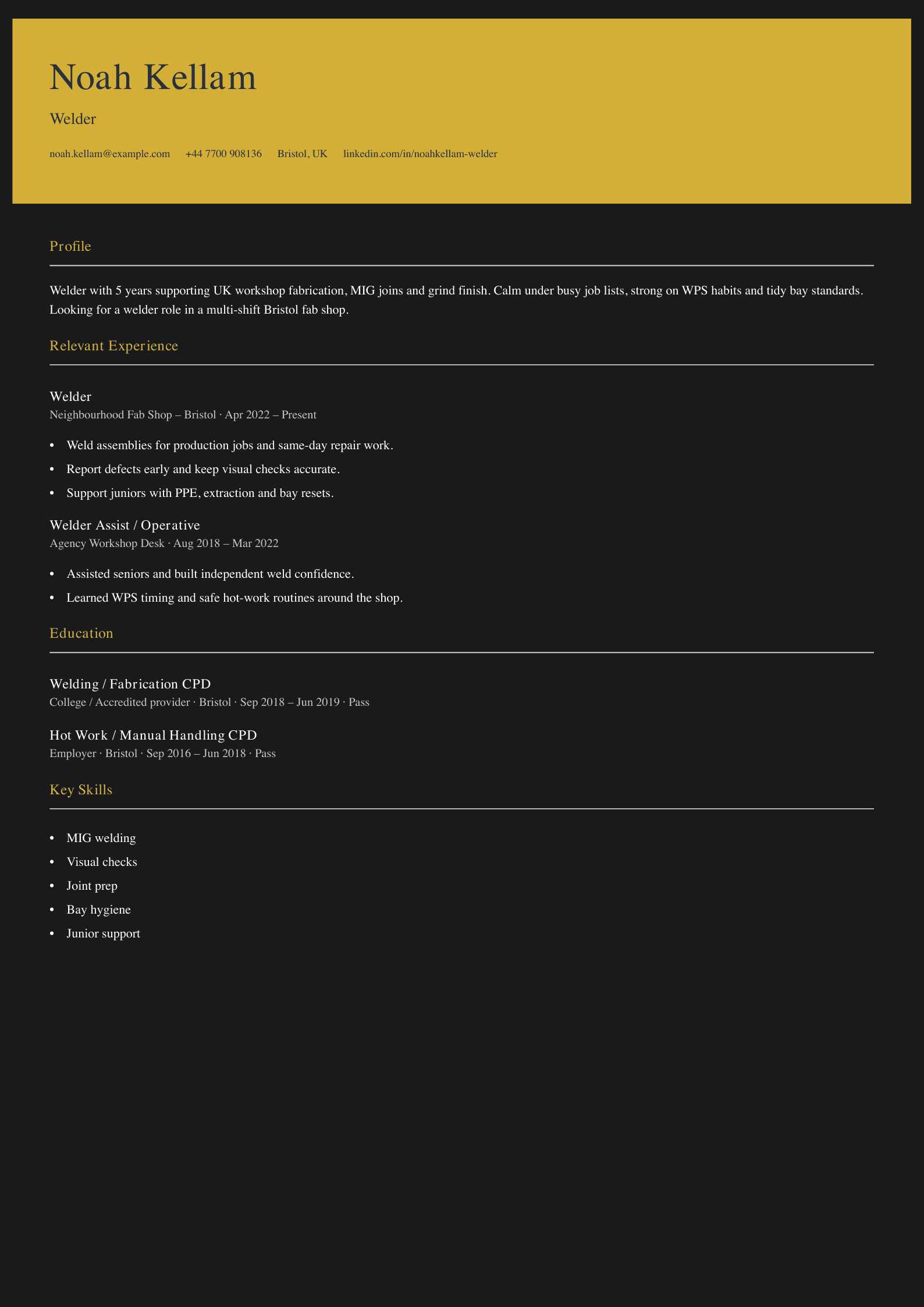 shop welder CV template