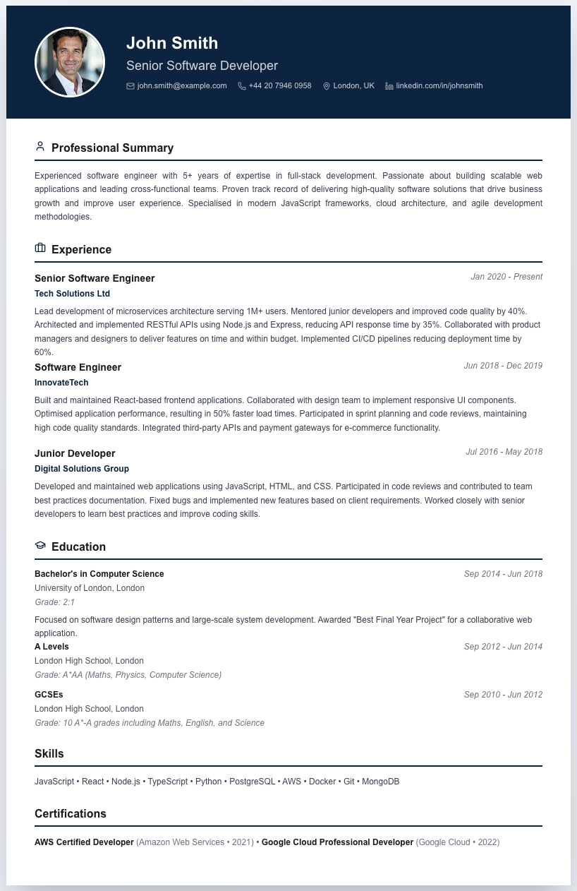 Professional CV template preview